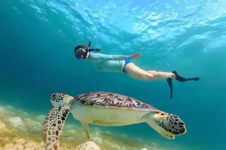 Quando andare a Marsa Alam per una vacanza al mare perfetta