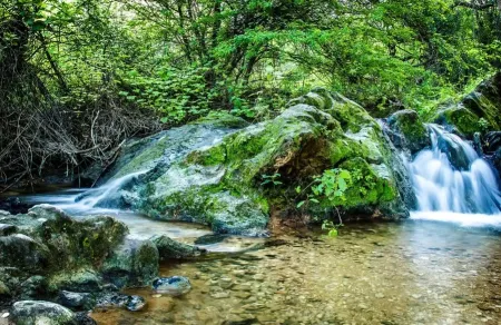 Salalah Khareef Season