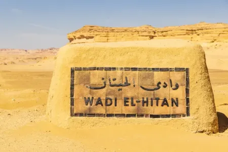 Valle delle Balene Egitto fossili nel deserto