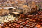 Visit the magic of The Tanneries of Fez